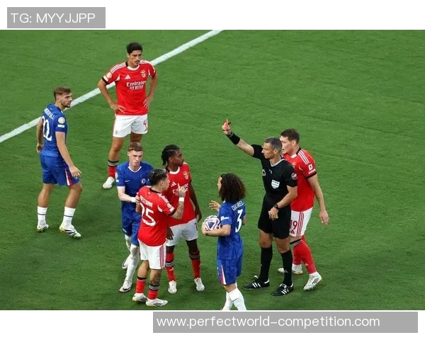 意甲激战：拜仁与波尔图战成平局战术分析引发热议